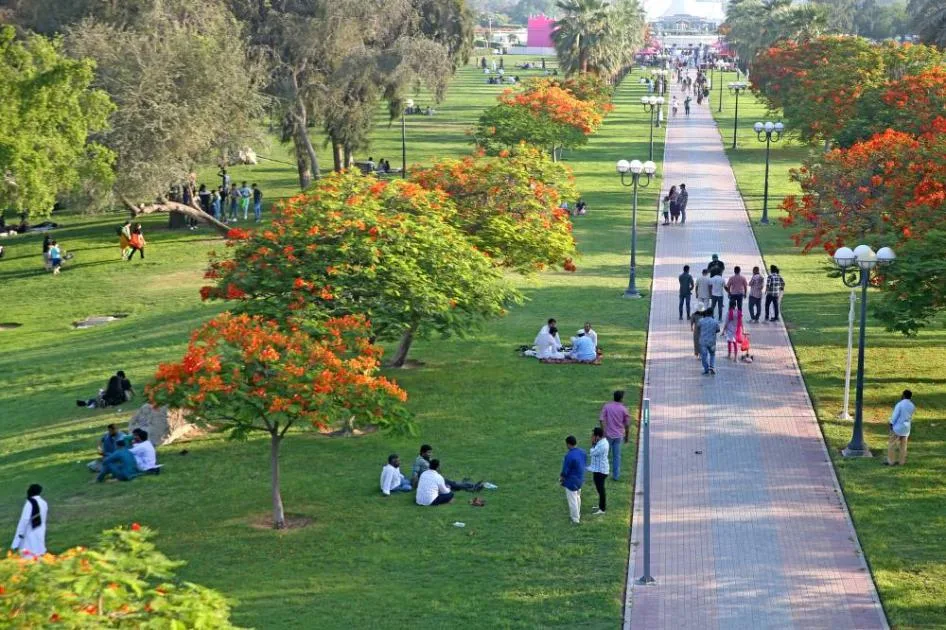 أنشطة ترفيهية وعروض رائعة تزين احتفالات دبي أنشطة ترفيهية وعروض رائعة تزين احتفالات دبي
