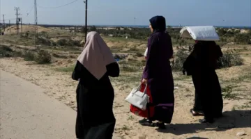 أوشتا: النساء يعانين من ظروف مهينة نتيجة الإبادة والنزوح في غزة