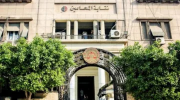 أول إجراء يقوم به “نقابة المحامين” بعد حادثة مقتل محامٍ في كفر الشيخ على يد أعداء موكله