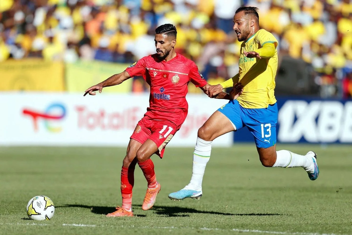 أول تصريح لمدرب صن داونز بعد الهزيمة في دوري الأبطال