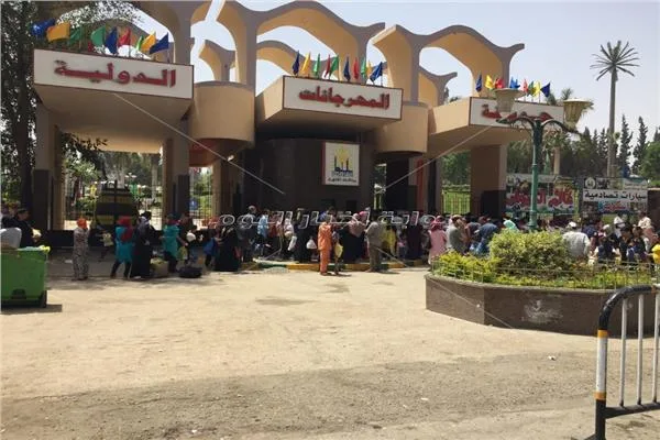 أين يمكنك قضاء ثاني أيام عيد الأضحى؟ إليك أرخص 7 وجهات للتنزه بأسعار تبدأ من 5 جنيهات أين يمكنك قضاء ثاني أيام عيد الأضحى؟ إليك أرخص 7 وجهات للتنزه بأسعار تبدأ من 5 جنيهات