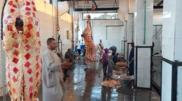 إجراء المجازر لذبح الأضاحي في اليوم الأول من العيد في المنيا