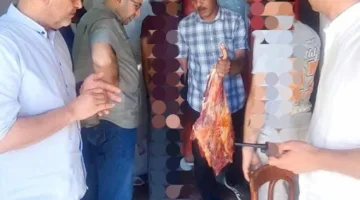 إحباط عملية تهريب أكثر من 107 أطنان من اللحوم غير الصالحة للاستهلاك البشري وتحرير 863 مخالفة.