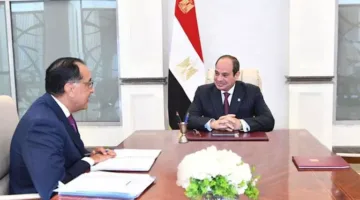 إرشادات رئاسية لتحسين شركات الأعمال.. والعقوبات المرتبطة بذبح الأضاحي خارج المسلخ