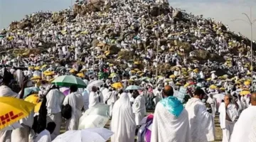 إرشادات هامة من وزارة السياحة لموسم حج 2025.. تفاصيل