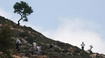 إصابات واعتقالات جراء هجوم مستوطنين على قرية معازة
