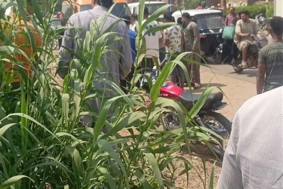 إصابة 7 أفراد نتيجة حادث تصادم على طريق السادات في المنوفية إصابة 7 أفراد نتيجة حادث تصادم على طريق السادات في المنوفية