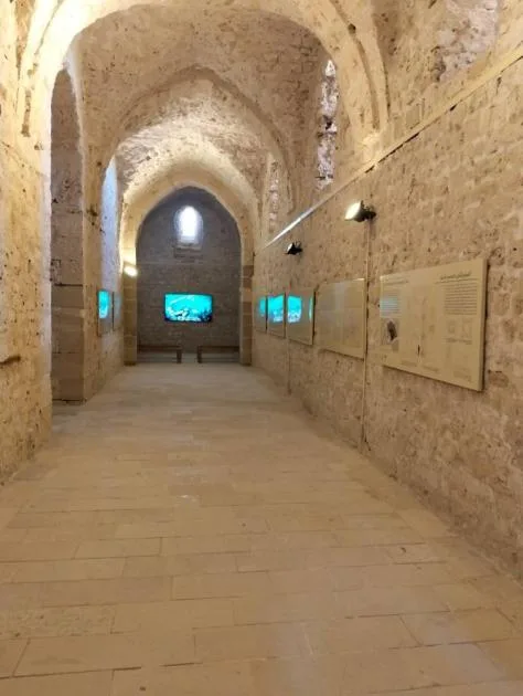 إطلاق مركز الزوار لقلعة قايتباي في الإسكندرية إطلاق مركز الزوار لقلعة قايتباي في الإسكندرية