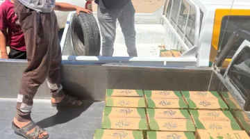 إغلاق منطقتين تجاريتين واسترجاع لحوم وأسماك غير صالحة خلال حملات تفتيش شاملة في المنوفية
