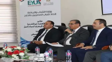 اتحاد شباب المصريين بالخارج: نلتزم بالتضامن في مواجهة محاولات الاستغلال