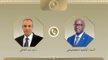 اتصال هاتفي بين وزيري الخارجية والهجرة في البلدين الرواندي والآخر
