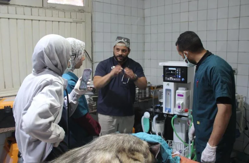 التحالف الوطني لتحسين حديقة الحيوان بالجيزة يستفيد من الخبرات العالمية والمحلية في رعاية الحيوان التحالف الوطني لتحسين حديقة الحيوان بالجيزة يستفيد من الخبرات العالمية والمحلية في رعاية الحيوان