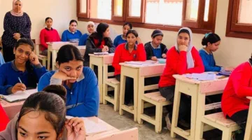 احصل على نتيجة الصف الخامس الابتدائي للترم الثاني 2025 في الجيزة عبر الخط الساخن