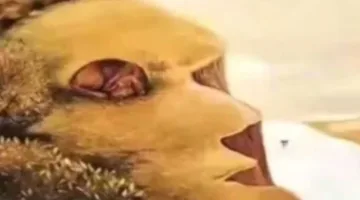 اختبار يحدد إن كنت جذابًا أم انطوائيًا.. ماذا تلاحظ أولاً؟