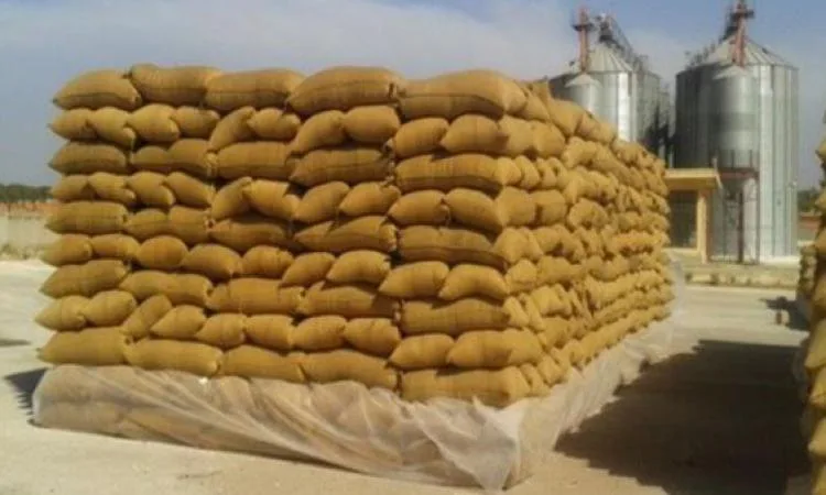 استقبال 274 ألف طن من القمح في صوامع محافظة بني سويف استقبال 274 ألف طن من القمح في صوامع محافظة بني سويف