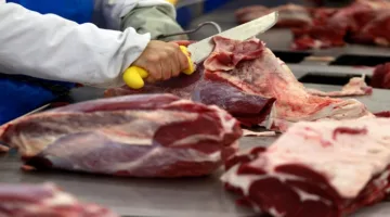 استيراد اللحوم يبلغ 319.7 مليون دولار خلال ثلاثة أشهر