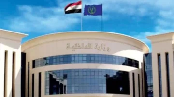 اعتقال 70 شخصاً بحوزتهم كميات كبيرة من المخدرات خلال حملات أمنية في الفيوم