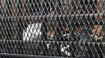 اعتقال المشتبه بهم في الاحتيال على المواطنين من خلال فرص عمل مزعومة في الخارج