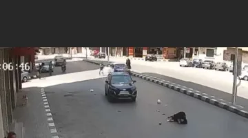 اعتقال طالب جامعي بتهمة صدم سيدة مسنّة في الغربية