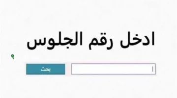 اكتشف الآن.. رابط الحصول على نتائج النقل من الصف الأول الابتدائي حتى الصف الثاني الإعدادي في الجيزة