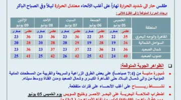 الأرصاد تعلن عن توقعات الطقس خلال عطلة عيد الأضحى 2025