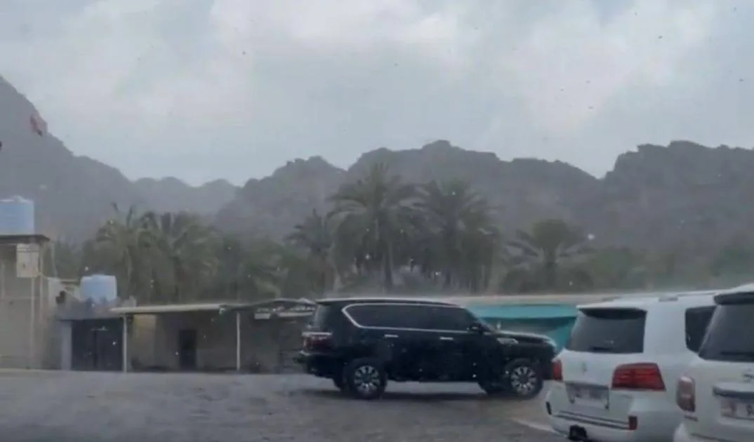 «الأرصاد» تُشير إلى هطول الأمطار في المناطق الشمالية والشرقية واحتمال حدوث ضباب. «الأرصاد» تُشير إلى هطول الأمطار في المناطق الشمالية والشرقية واحتمال حدوث ضباب.
