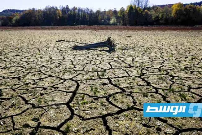 «الأرض الجافة».. تحديات المزارعين في الهند بسبب المناخ والديون الثقيلة «الأرض الجافة».. تحديات المزارعين في الهند بسبب المناخ والديون الثقيلة