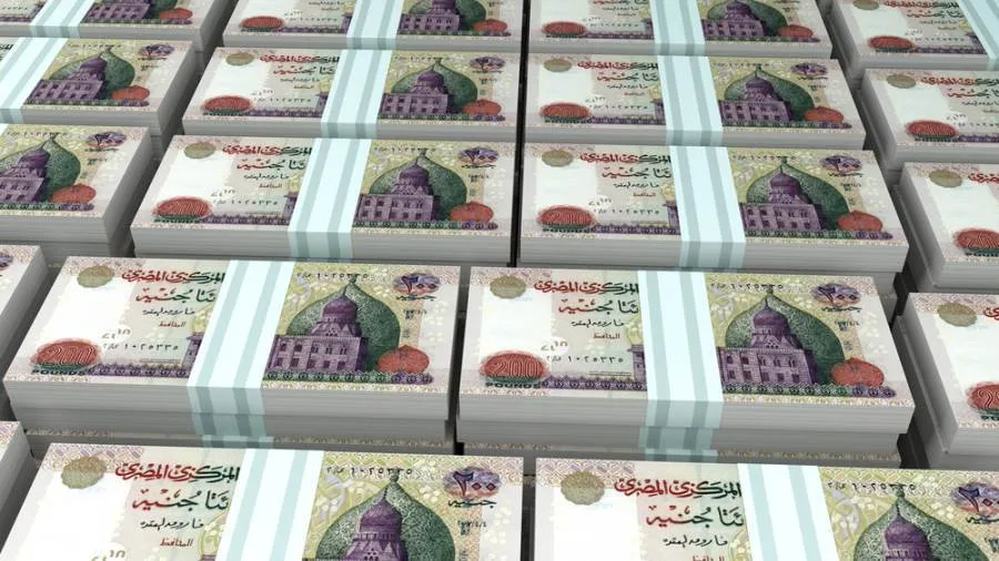 الأفراد يسيطرون على 21.8% من تمويلات البنوك المدرجة في البورصة خلال الربع الأول من عام 2025