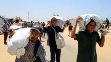 الأمم المتحدة: مسلحون وجياع استحوذوا على غالبية طحين غزة قبل التوزيع