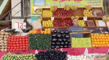 الإحصاءات: التضخم السنوي يبلغ 16.5% في مايو (اكتشف نسبة ارتفاع الأسعار والخدمات)
