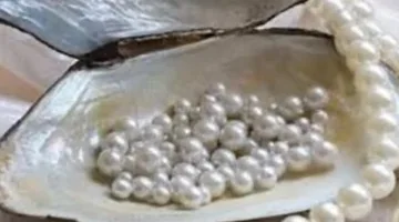 الإحصاءات: صادرات اللؤلؤ من مصر إلى الإمارات تتخطى حاجز الملياري دولار بحلول نهاية 2024.