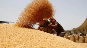 الإحصائيات تكشف: انخفاض 29% في قيمة واردات مصر من القمح خلال الربع الأول