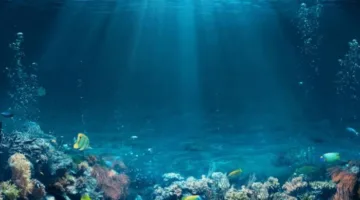 الإمارات تعبر عن حرصها على حماية البحار وتعزيز استدامتها