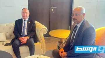 الباعور يناقش مع وزير خارجية جيبوتي سبل تعزيز التعاون الثنائي
