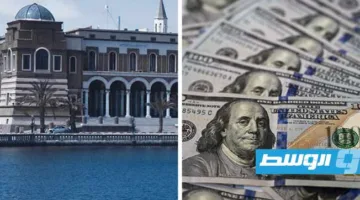 «البنك المركزي»: عجز قدره 4.7 مليار دولار في العملات الأجنبية خلال 5 أشهر