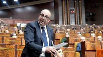 البواري: المغرب استورد 90 ألف بقرة و238 ألف خروف لضمان استقرار السوق.