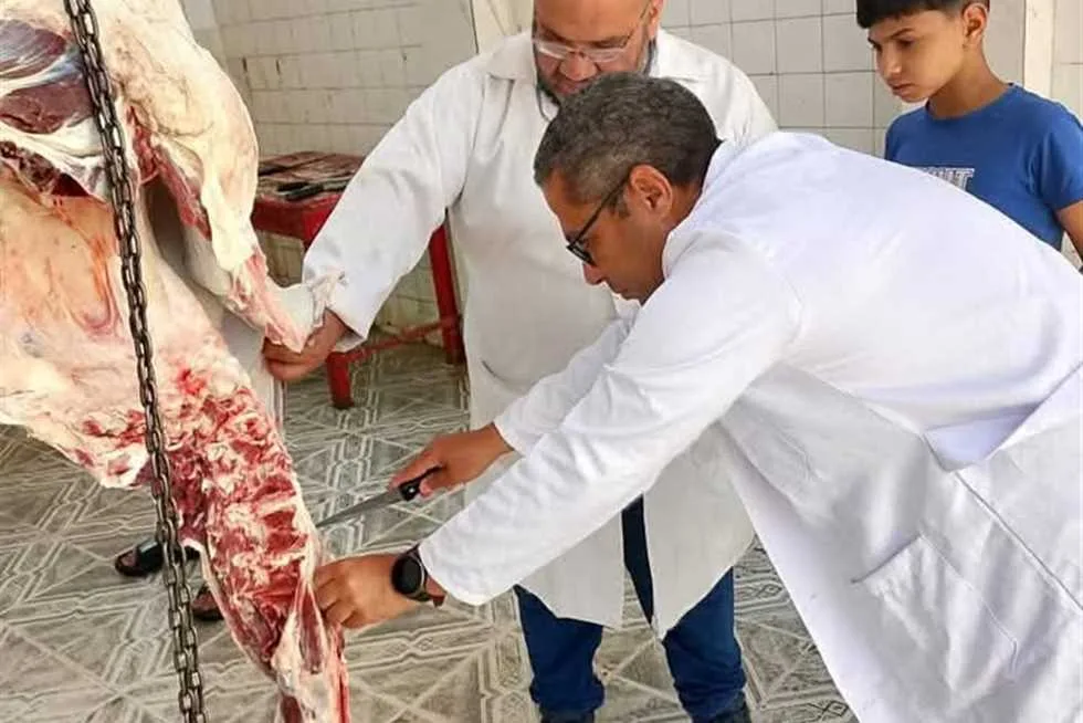 البيطري في الشرقية: ذبح 561 أضحية مجاناً في اليوم الثالث من عيد الأضحى البيطري في الشرقية: ذبح 561 أضحية مجاناً في اليوم الثالث من عيد الأضحى
