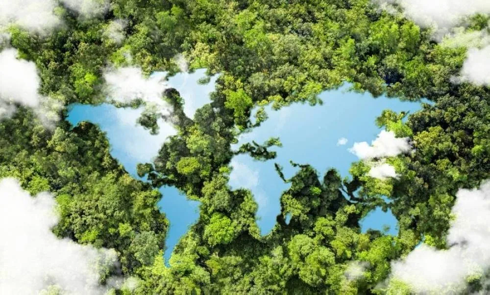 التضخم البيئي: تكلفة الاستدامة الاقتصادية وهل يؤدي التحول نحو الاقتصاد الأخضر إلى إفلاس بعض الدول؟ التضخم البيئي: تكلفة الاستدامة الاقتصادية وهل يؤدي التحول نحو الاقتصاد الأخضر إلى إفلاس بعض الدول؟
