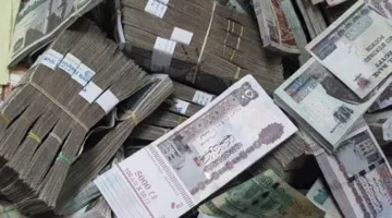 التفاصيل المتعلقة بشراء الشهادات في مصرفي الأهلي ومصر خلال عطلة عيد الأضحى