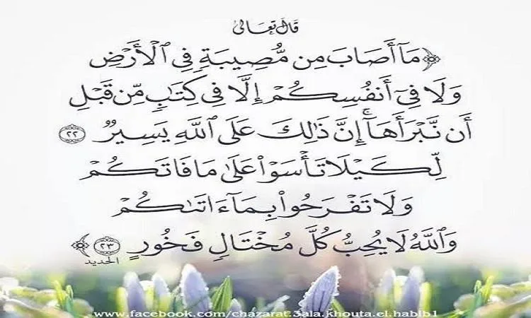 التوازن في العواطف يعد من أهداف الشريعة السمحاء التوازن في العواطف يعد من أهداف الشريعة السمحاء