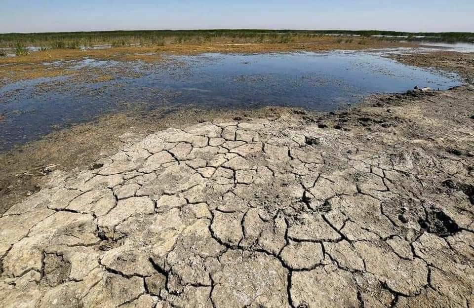 منظمة التعاون الاقتصادي: المناطق المتأثرة بالجفاف زادت بمقدار الضعف خلال 120 سنة
