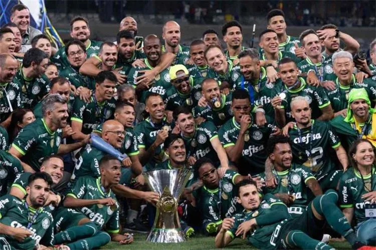 الجوهرة “ميسينهو” وتاريخ مميز.. كل ما تحتاج معرفته عن بالميراس، منافس الأهلي في كأس العالم للأندية الجوهرة “ميسينهو” وتاريخ مميز.. كل ما تحتاج معرفته عن بالميراس، منافس الأهلي في كأس العالم للأندية