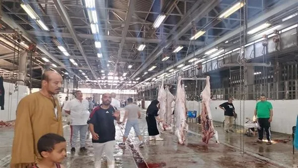 الحكومة تؤكد على مراقبة ذبح الأضاحي وضمان صحة اللحوم خلال العيد