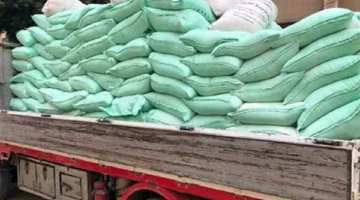 الداخلية تضبط 7 أطنان من الدقيق خلال حملات تفتيش على المخابز السياحية والمُدعمة