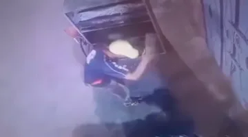 الداخلية توضح ملابسات فيديو قتل قطة في الغربية