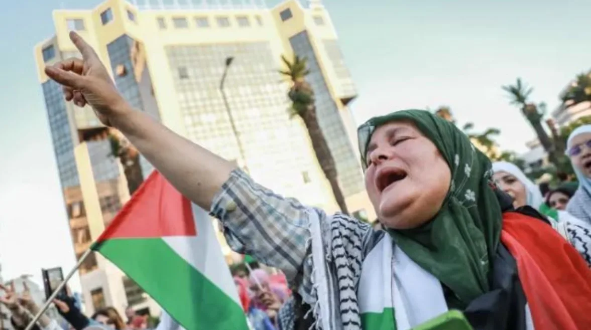 الدخول بإذن: هل تعتبر ‘قافلة الصمود’ مؤامرة ضد مصر أم مجرد سذاجة سياسية؟ الدخول بإذن: هل تعتبر ‘قافلة الصمود’ مؤامرة ضد مصر أم مجرد سذاجة سياسية؟