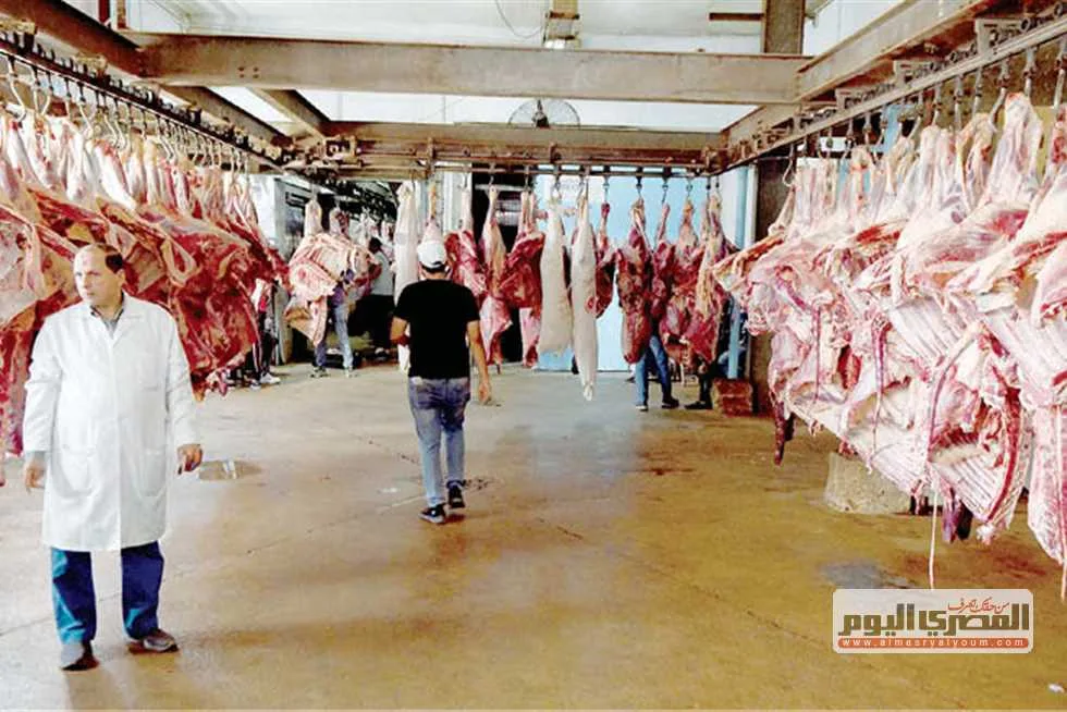 «الذبح المجاني».. المسالخ الحكومية تستقبل أكثر من 9800 أضحية في اليوم الأول من العيد «الذبح المجاني».. المسالخ الحكومية تستقبل أكثر من 9800 أضحية في اليوم الأول من العيد