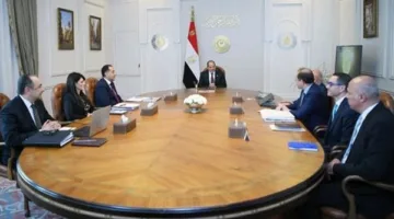 الرئيس السيسي يأمر بزيادة عائدات الأصول من خلال تعزيز التعاون مع القطاع الخاص