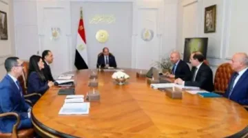 الرئيس السيسي يوجه بالاستمرار في تعزيز العائد من ممتلكات الدولة
