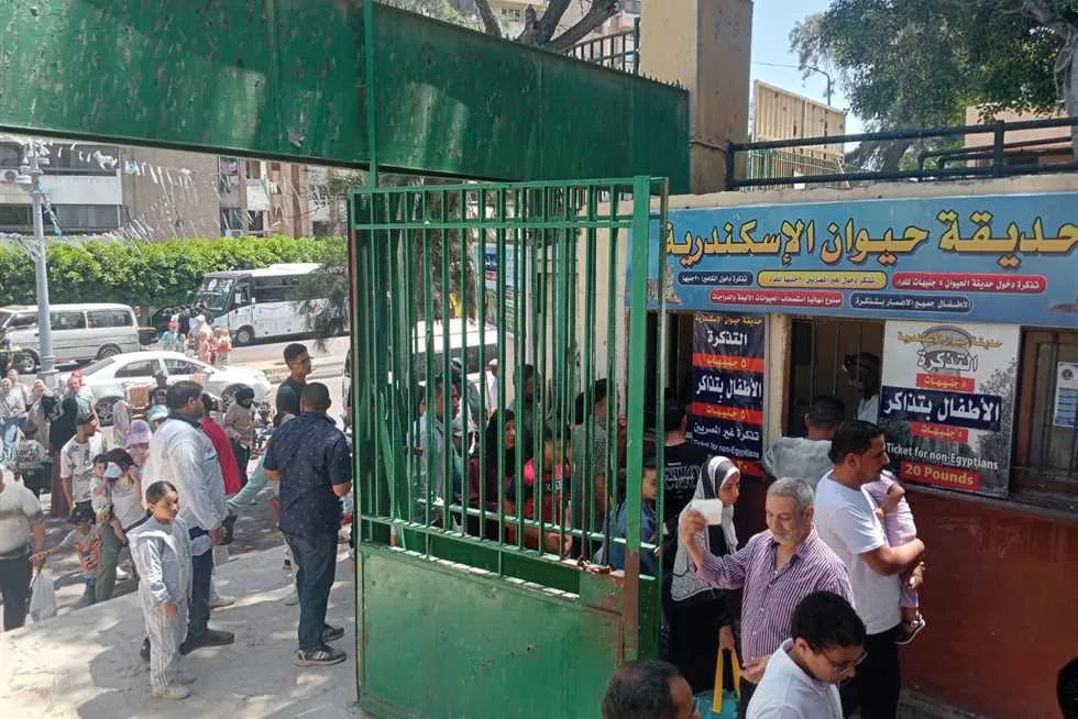 “الزراعة”: 71,671 شخصًا زاروا حدائق الحيوان والأسماك خلال الأيام الثلاثة الأولى من عيد الأضحى “الزراعة”: 71,671 شخصًا زاروا حدائق الحيوان والأسماك خلال الأيام الثلاثة الأولى من عيد الأضحى